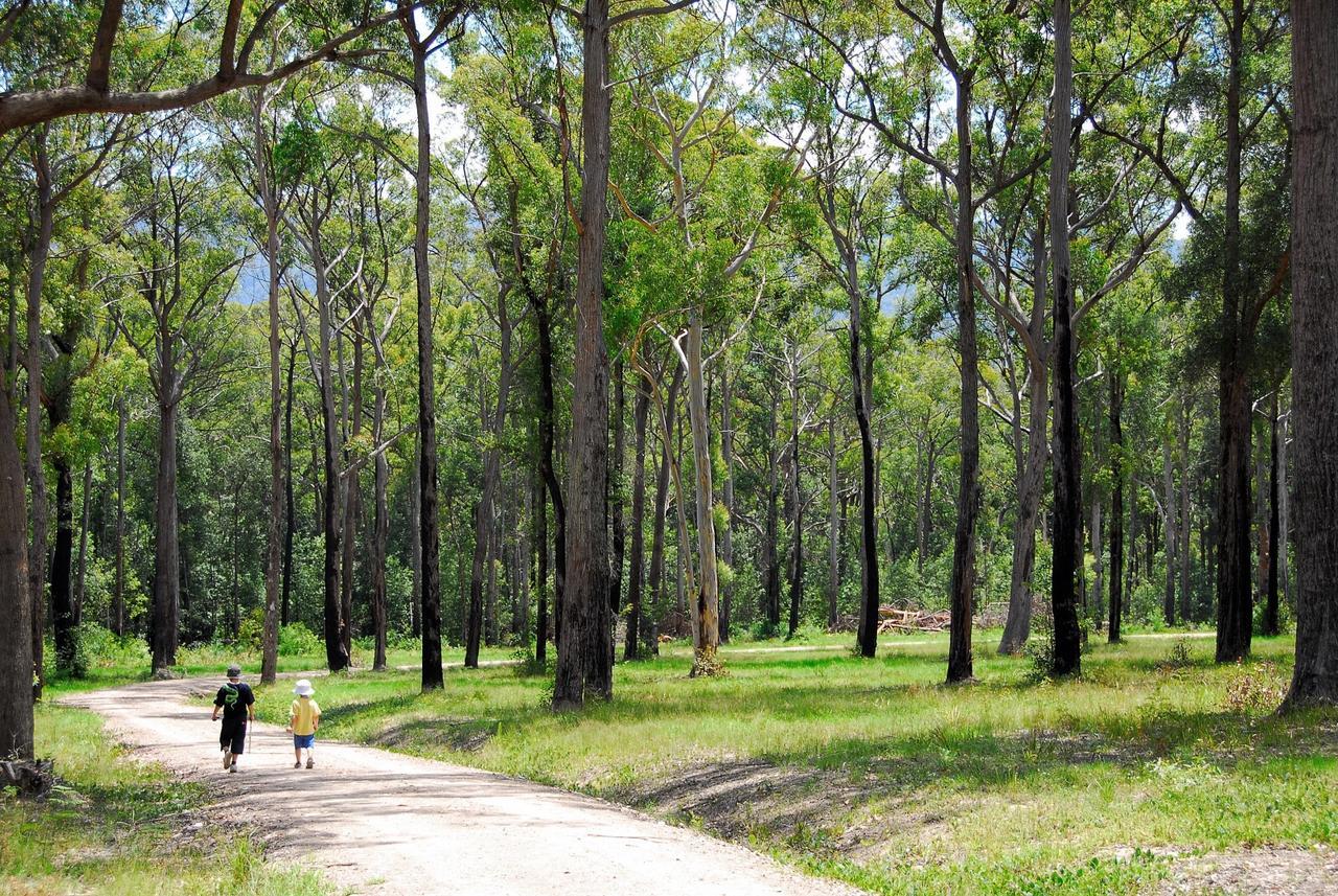 Skyview * Kangaroo Valley